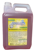 Detergente Maçã 05L